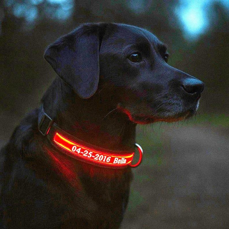 Led 犬用首輪 パーソナライズされた Id タグ付き 光るライトアップ 夜間の安全性 調節可能なペットの首輪 小型犬および大型犬用 カスタム名