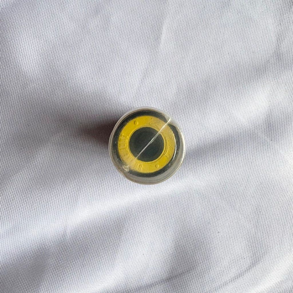 Shake Junt Abec-3 Skateboard Bearings-Halfpiped 