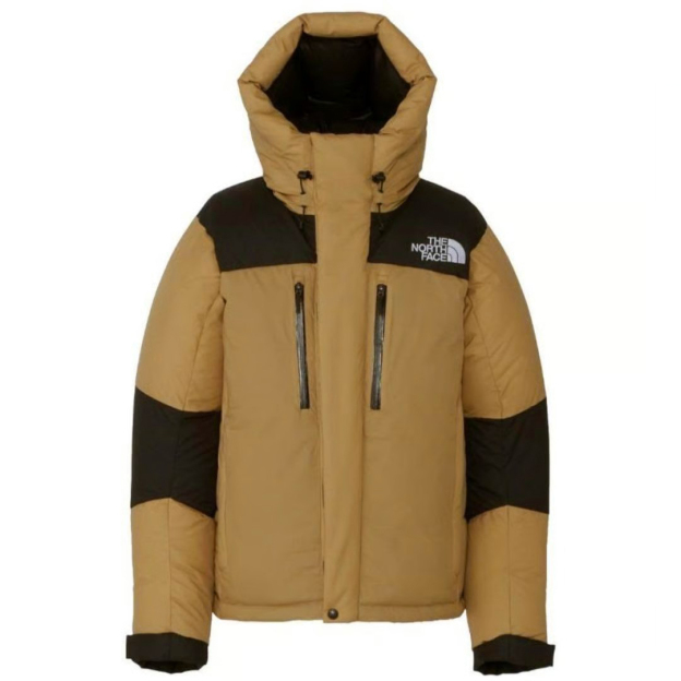 【特価人気商品】ザ・ノースフェイス パッチワークデザインのフード付きダウンジャケット
