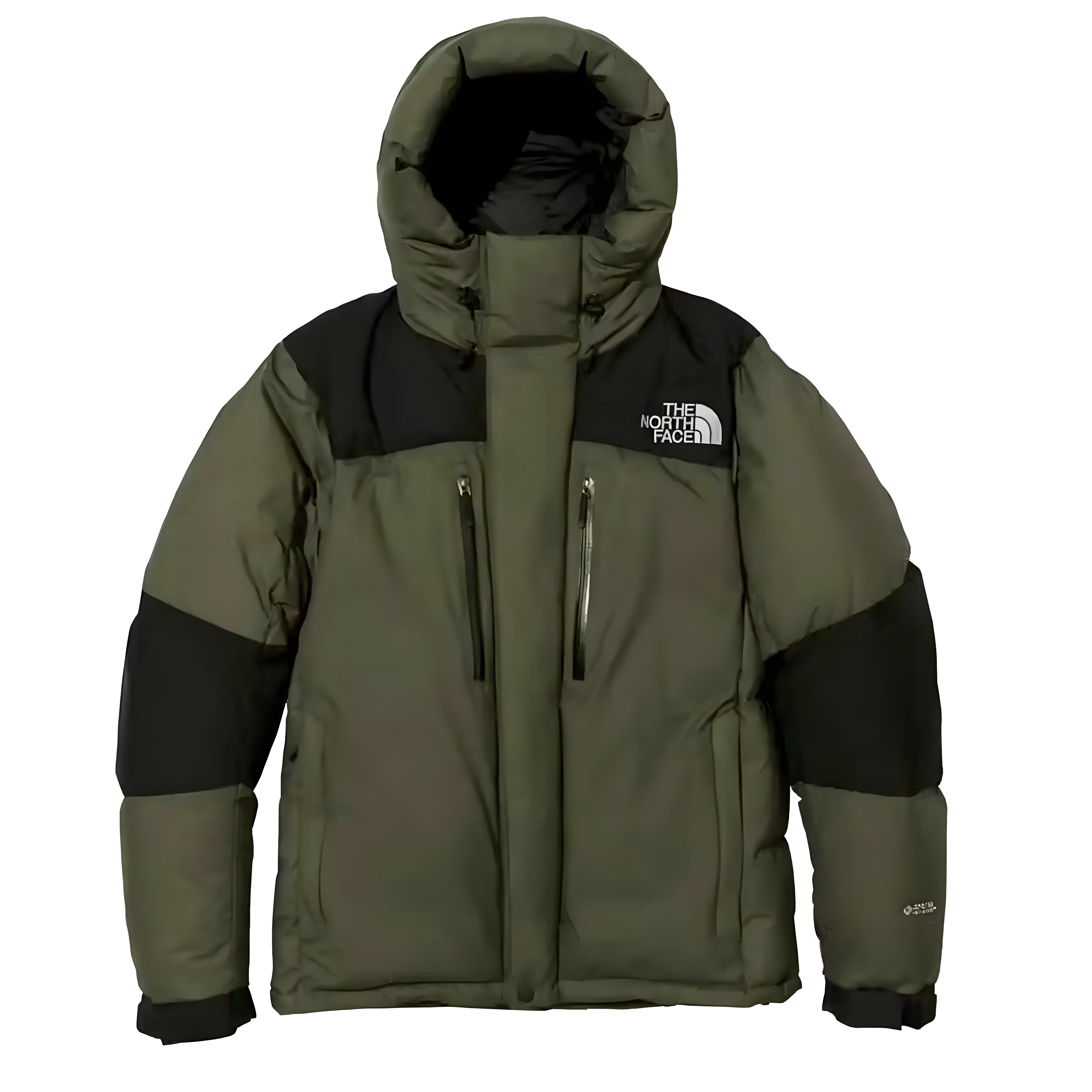 【特価人気商品】ザ・ノースフェイス パッチワークデザインのフード付きダウンジャケット