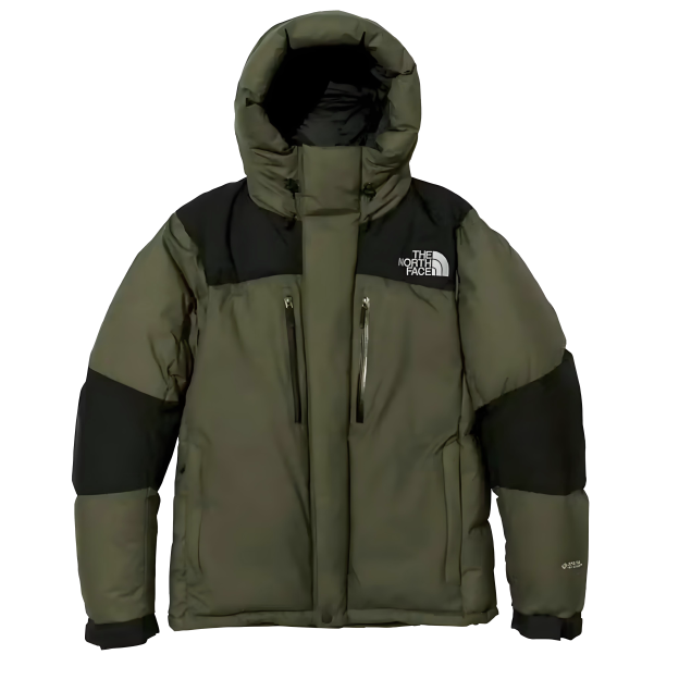 【特価人気商品】ザ・ノースフェイス パッチワークデザインのフード付きダウンジャケット