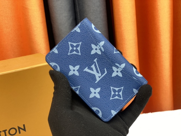 ルイ・ヴィトン カードケース オーガナイザー･ドゥ ポッシュ