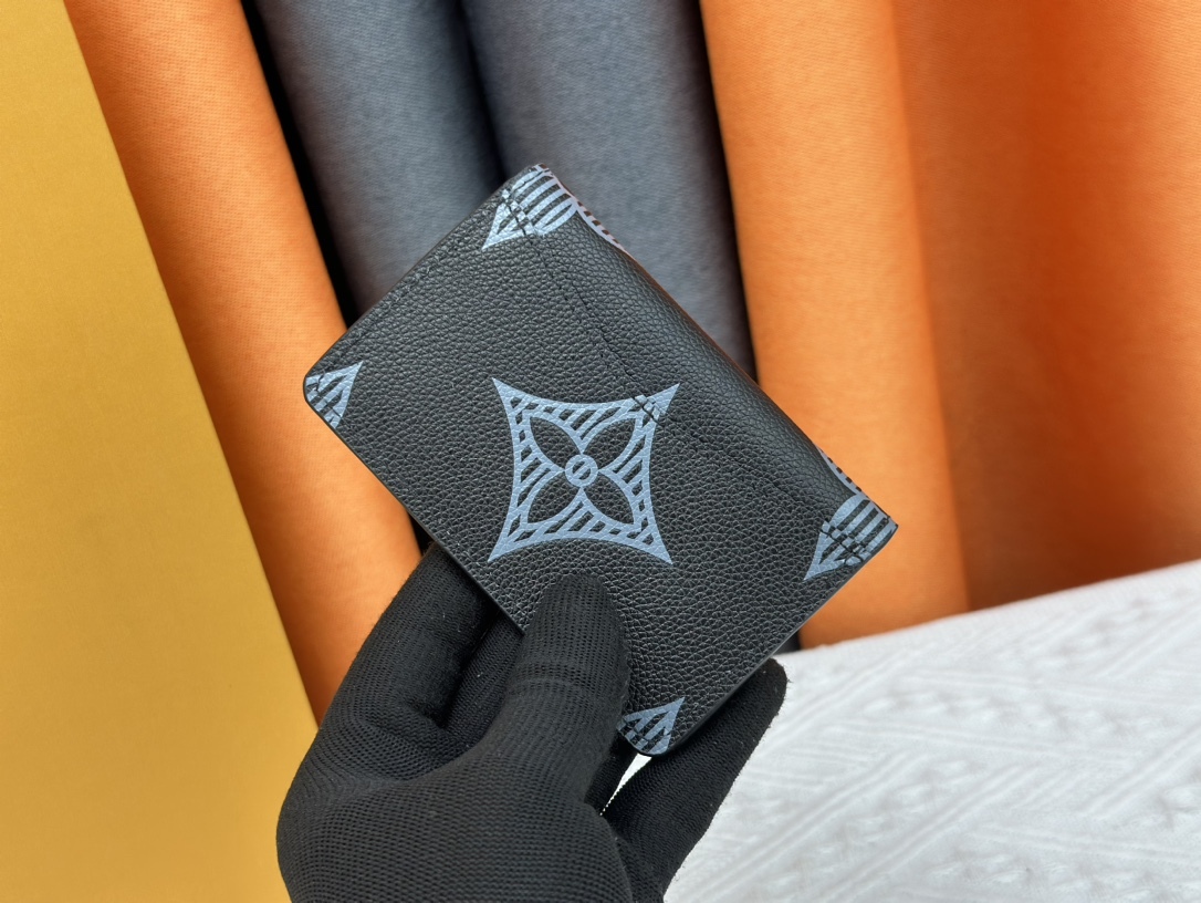 ルイ・ヴィトン カードケース オーガナイザー･ドゥ ポッシュ