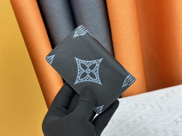 ルイ・ヴィトン カードケース オーガナイザー･ドゥ ポッシュ