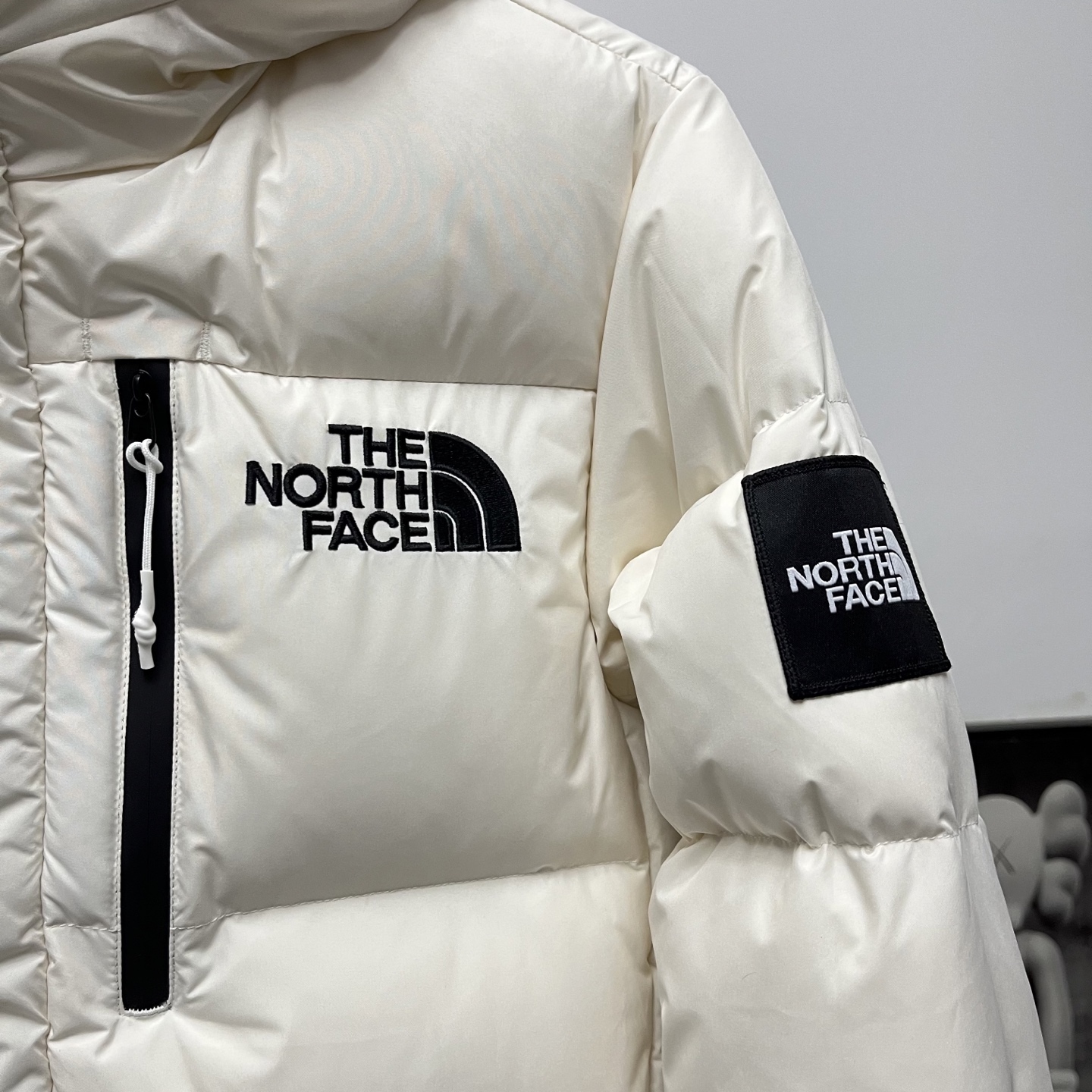 ザ・ノースフェイス メンズ ロング丈フード付きダウンジャケット