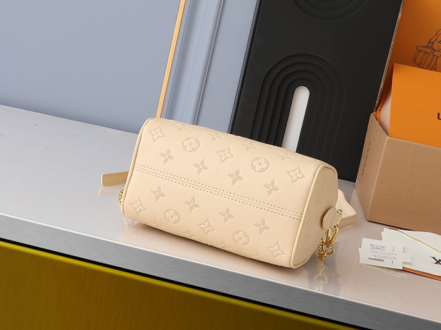 ルイ・ヴィトン スピーディ･バンドリエール 20