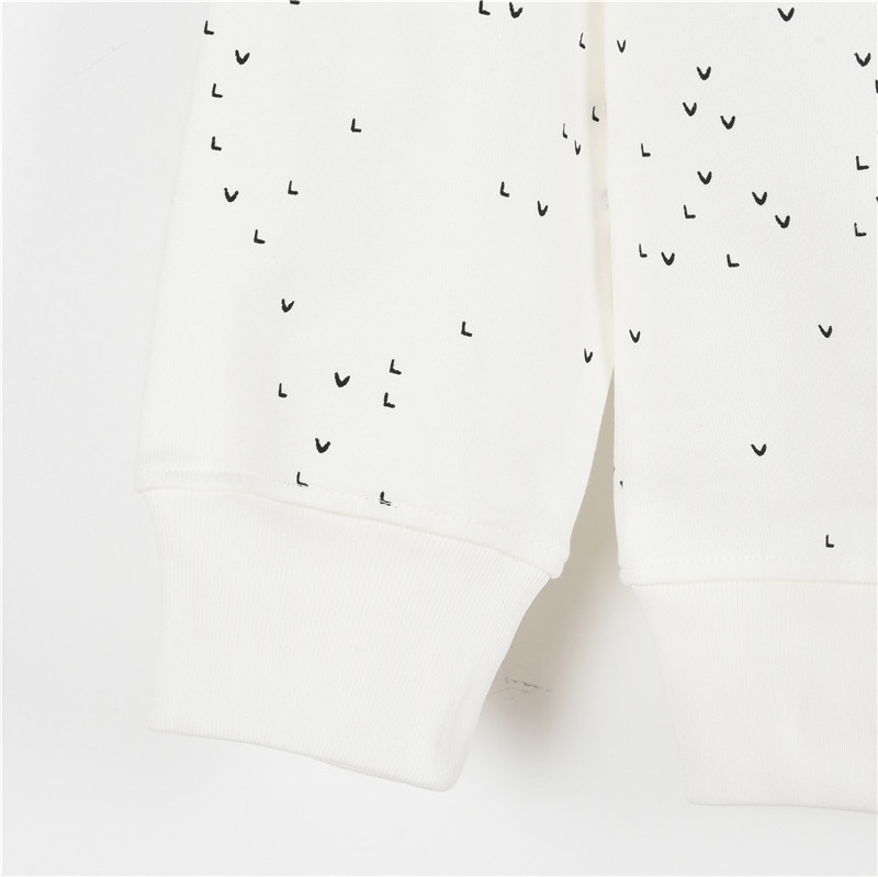 Louis Vuitton / ルイ・ヴィトン 24Fw グラデーション小飛行機柄プリントの丸首パーカー