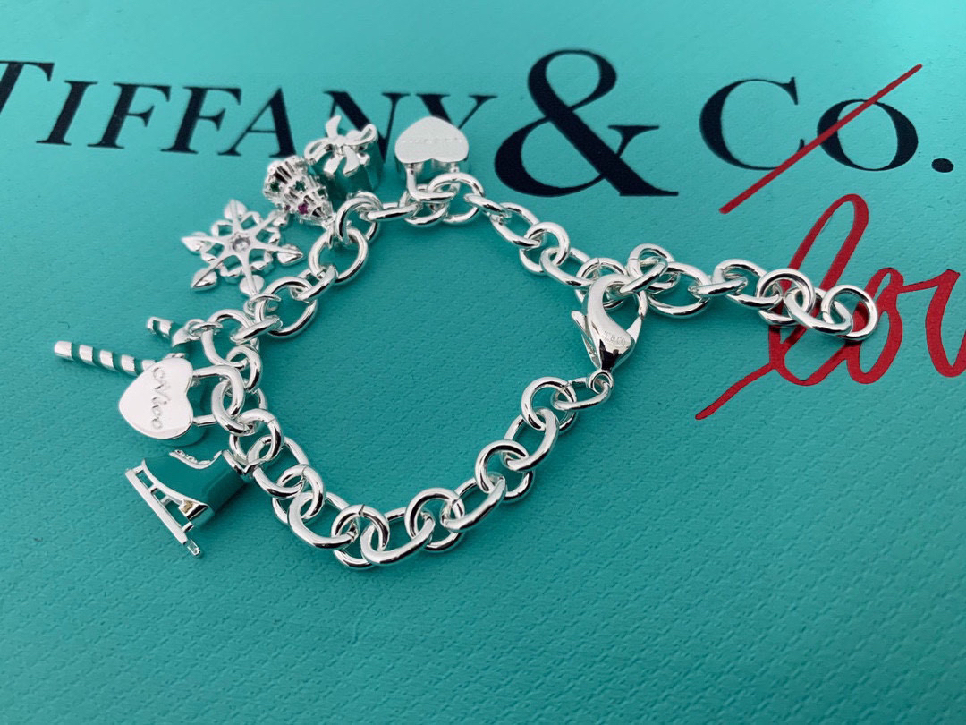 ティファニー「Tiffany & Co.」ポリッシュドシルバーリンク ブレスレット