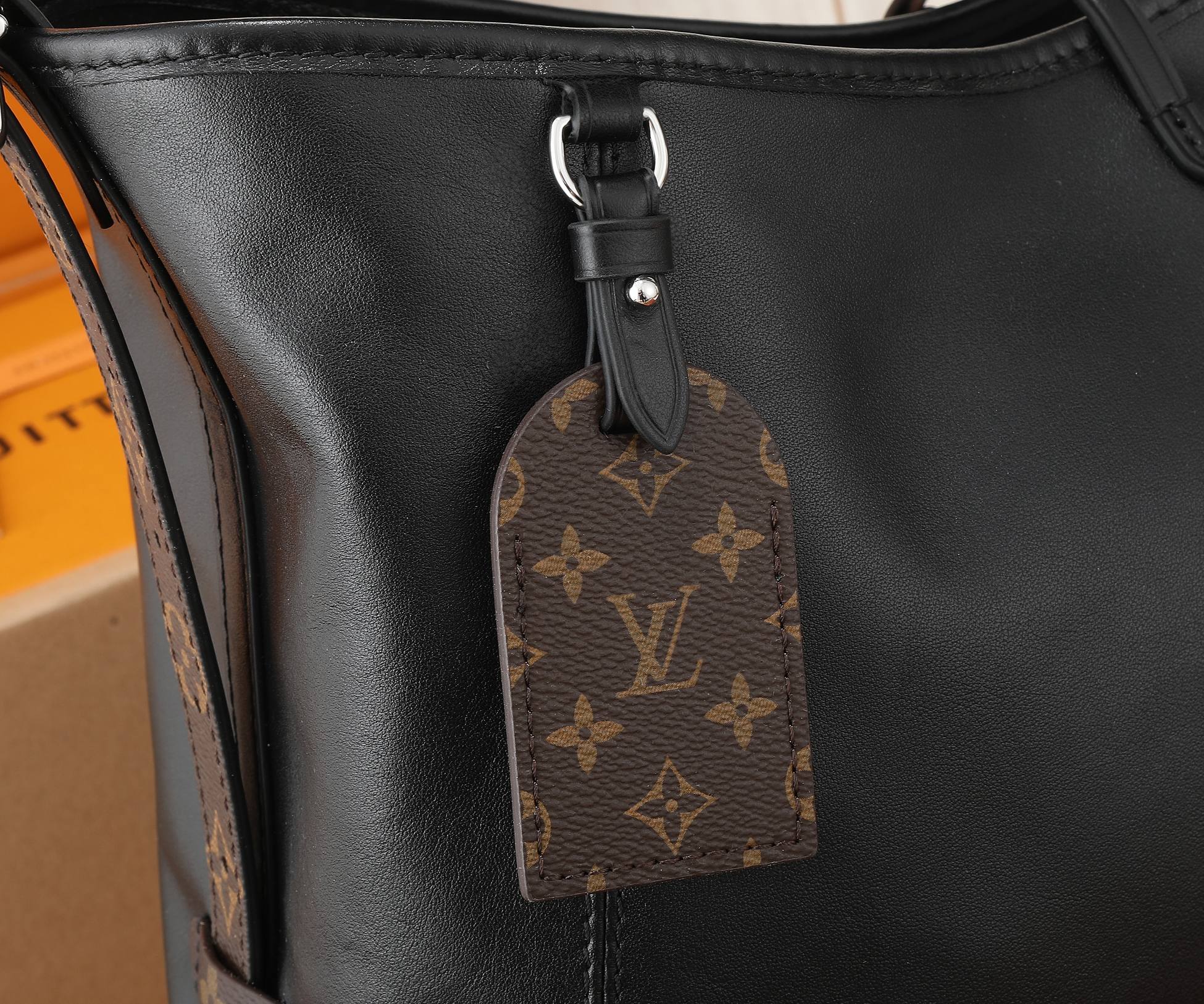 ルイ・ヴィトン キャリーオール MM バッグ「CarryAll Dark Bag」