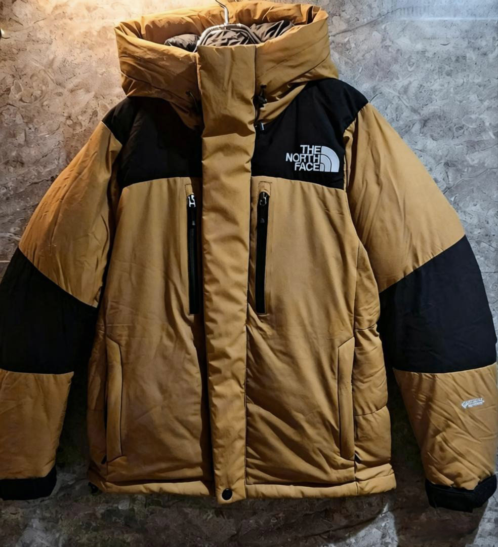 【特価人気商品】ザ・ノースフェイス パッチワークデザインのフード付きダウンジャケット