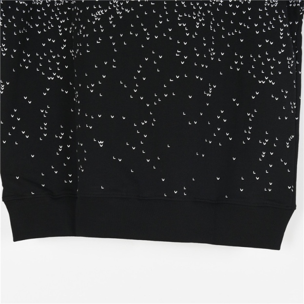 Louis Vuitton / ルイ・ヴィトン 24Fw グラデーション小飛行機柄プリントの丸首パーカー