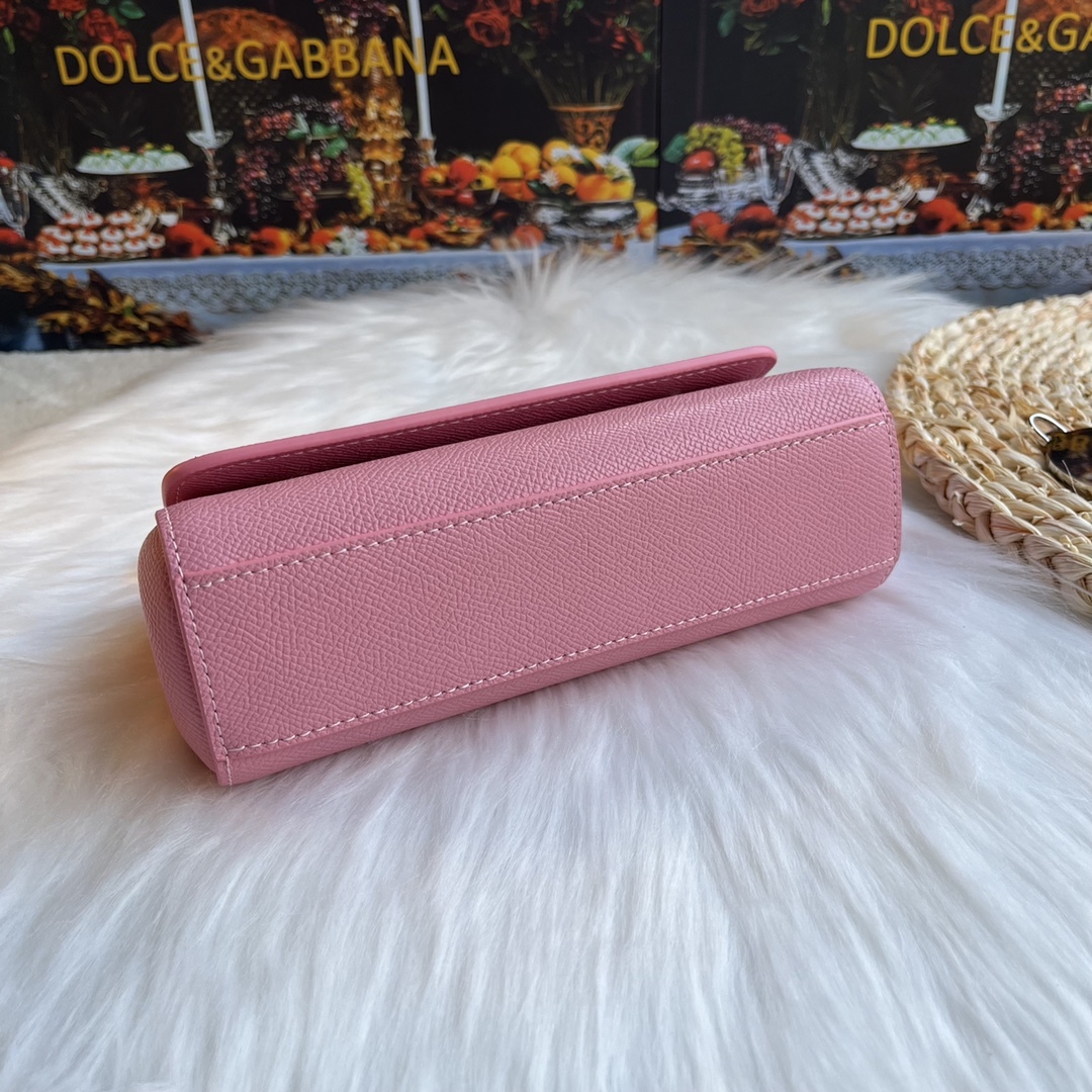 ドルチェ・アンド・ガッバーナ「D&G」レパードプリント プラチナバッグ