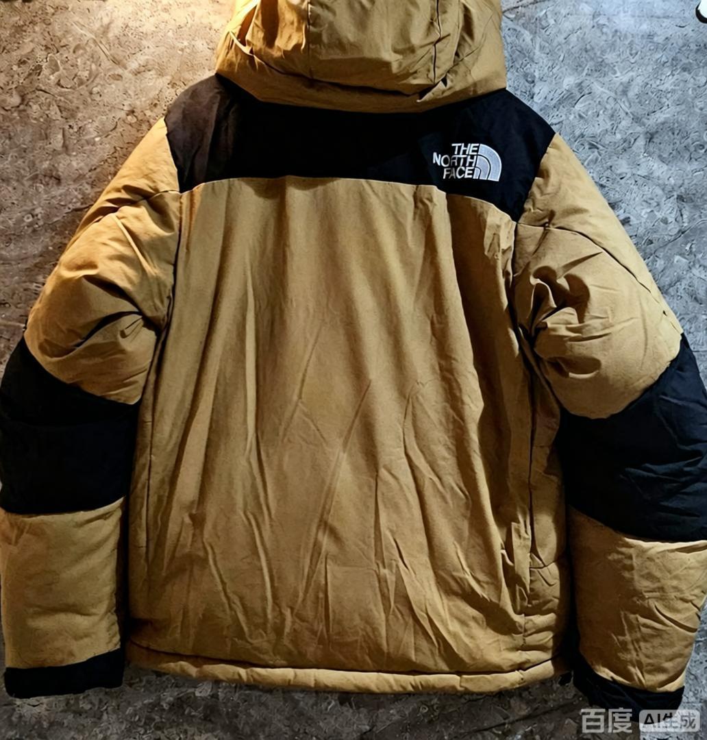 【特価人気商品】ザ・ノースフェイス パッチワークデザインのフード付きダウンジャケット