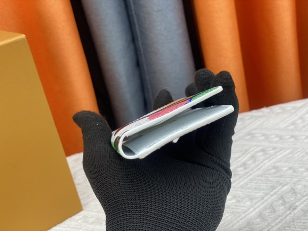 ルイ・ヴィトン カードケース オーガナイザー･ドゥ ポッシュ