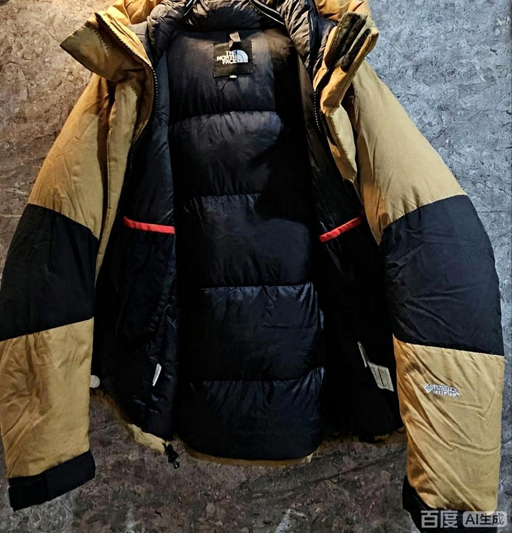 【特価人気商品】ザ・ノースフェイス パッチワークデザインのフード付きダウンジャケット