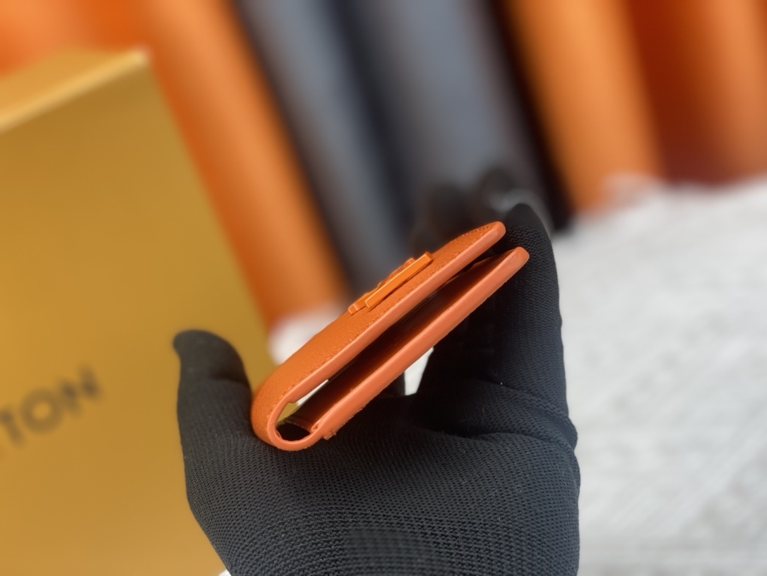 ルイ・ヴィトン カードケース オーガナイザー･ドゥ ポッシュ