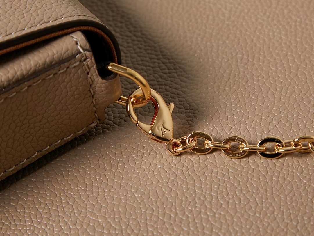 ルイ・ヴィトン ポシェット･フェリシー「Pochette Félicie」