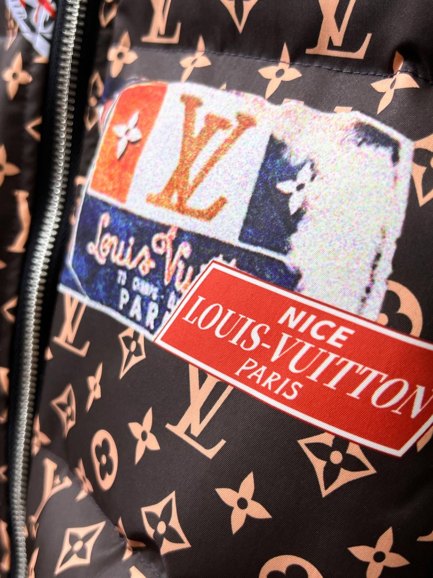 ルイ・ヴィトン「Louis Vuitton」‌冬用フード付きダウンジャケット 男女兼用
