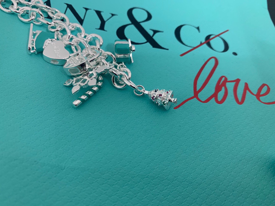 ティファニー「Tiffany & Co.」ポリッシュドシルバーリンク ブレスレット