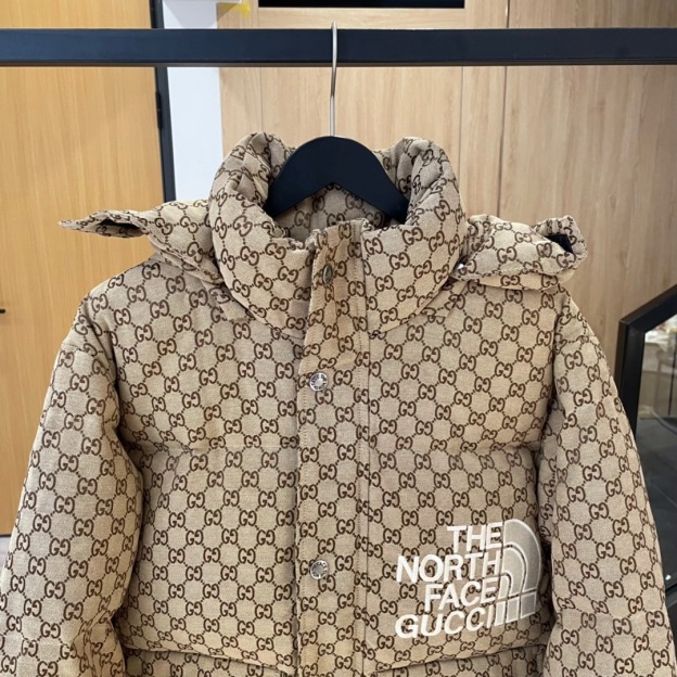 【特価人気商品】ザ・ノースフェイス x グッチ コラボファッションダウンジャケット