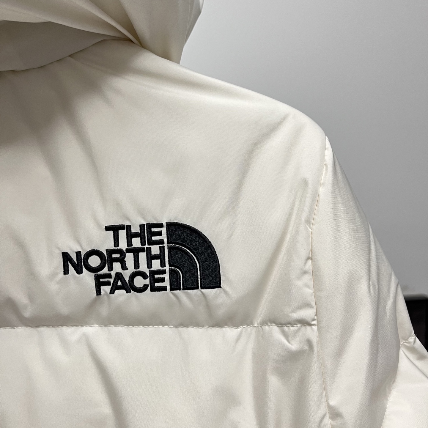 ザ・ノースフェイス メンズ ロング丈フード付きダウンジャケット