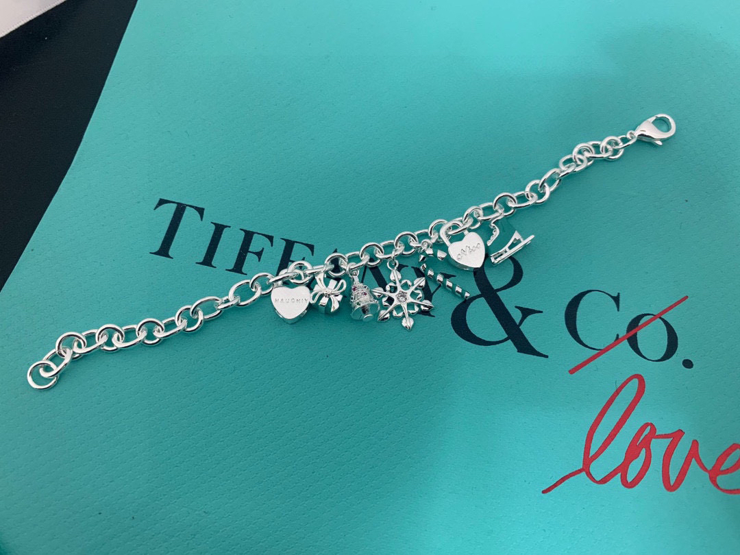 ティファニー「Tiffany & Co.」ポリッシュドシルバーリンク ブレスレット