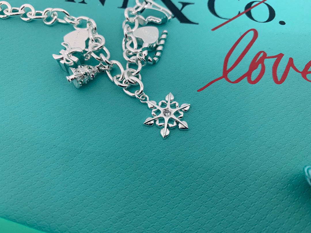 ティファニー「Tiffany & Co.」ポリッシュドシルバーリンク ブレスレット