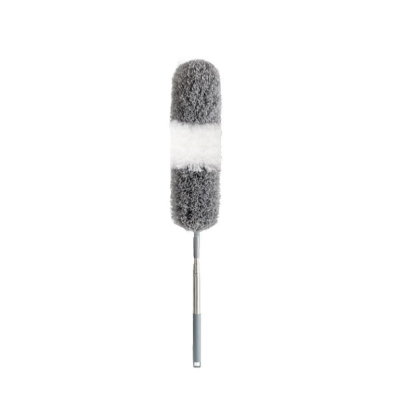 Telescopic duster