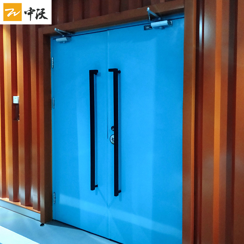 Cinema steel sound insulation Fire Doors