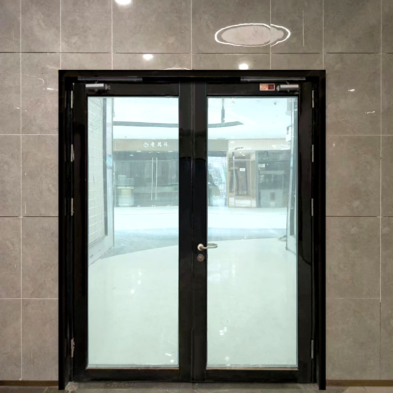 Black Titanium Steel Glass Fire Door