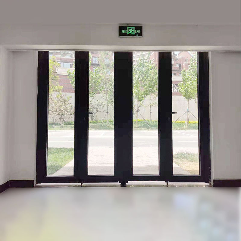 Steel frame large glass fire door-zowor