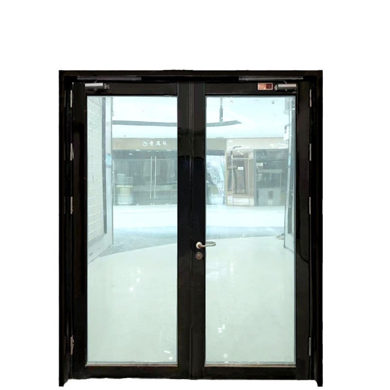Black Titanium Steel Glass Fire Door