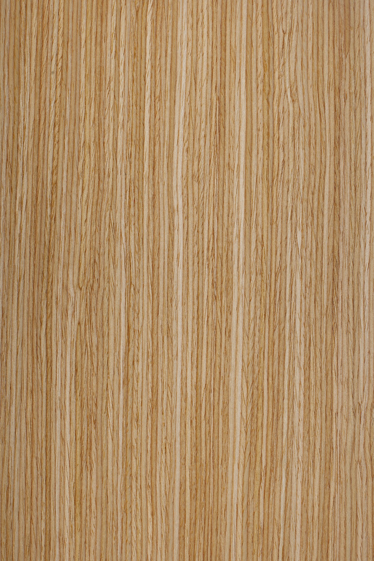 AYG5307 herringbone oak flat wood floor