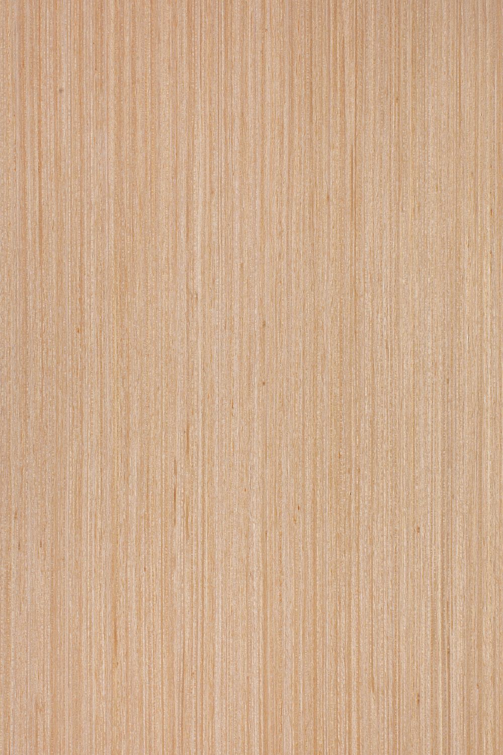 AYG5307 herringbone oak flat wood floor