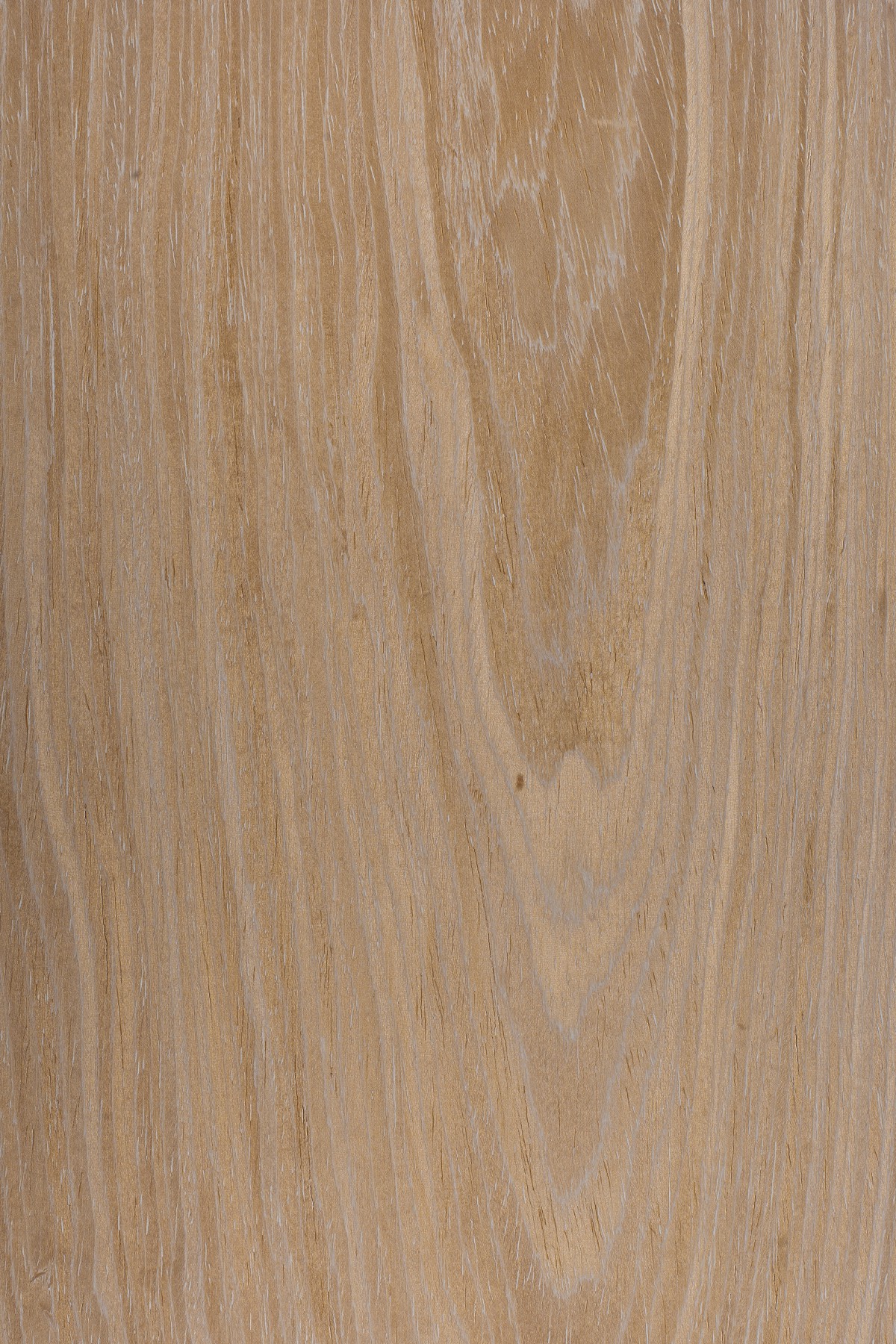 AYG5307 herringbone oak flat wood floor