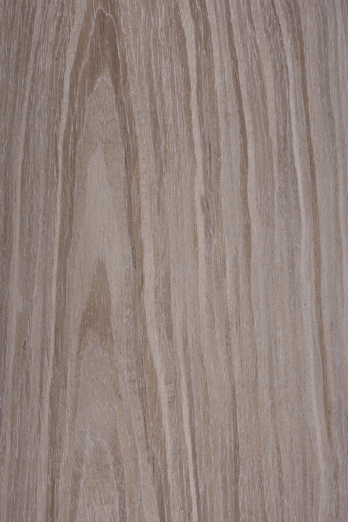 AYG5307 herringbone oak flat wood floor