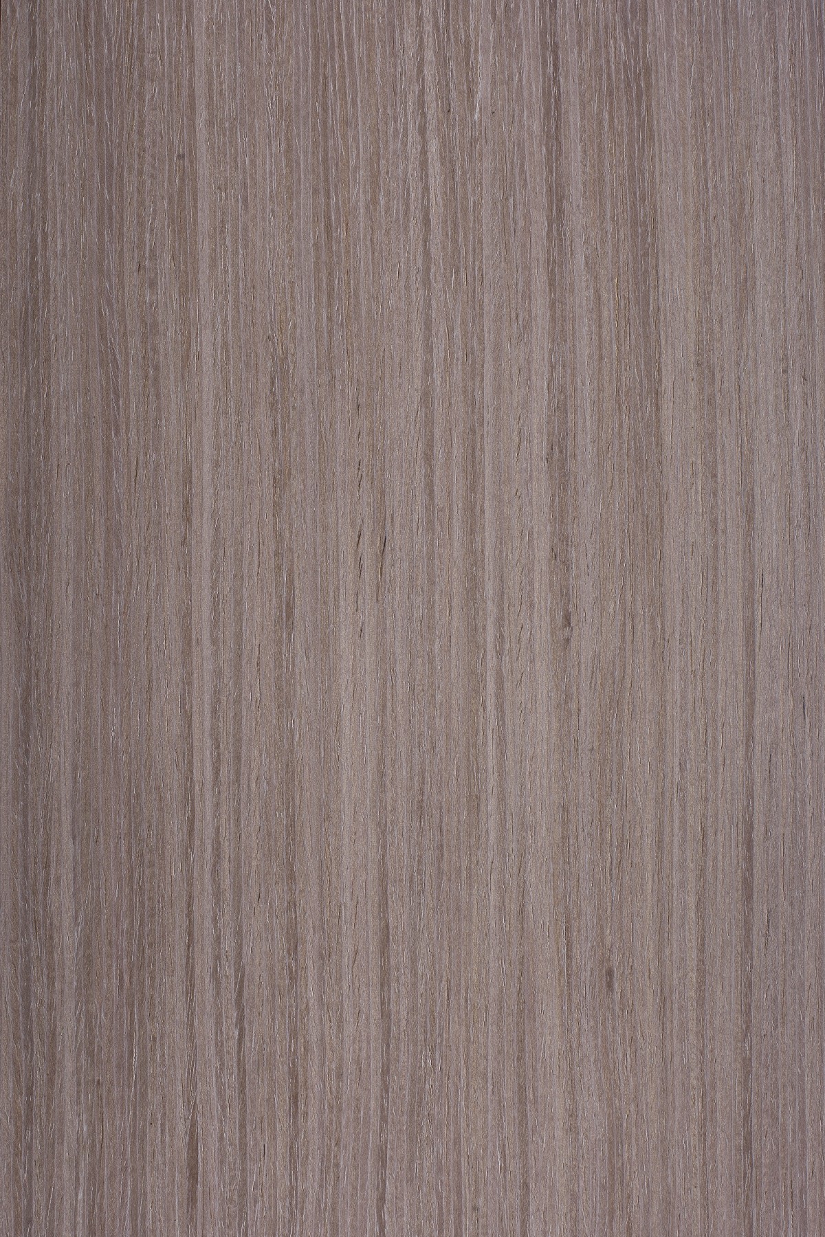 AYG5307 herringbone oak flat wood floor