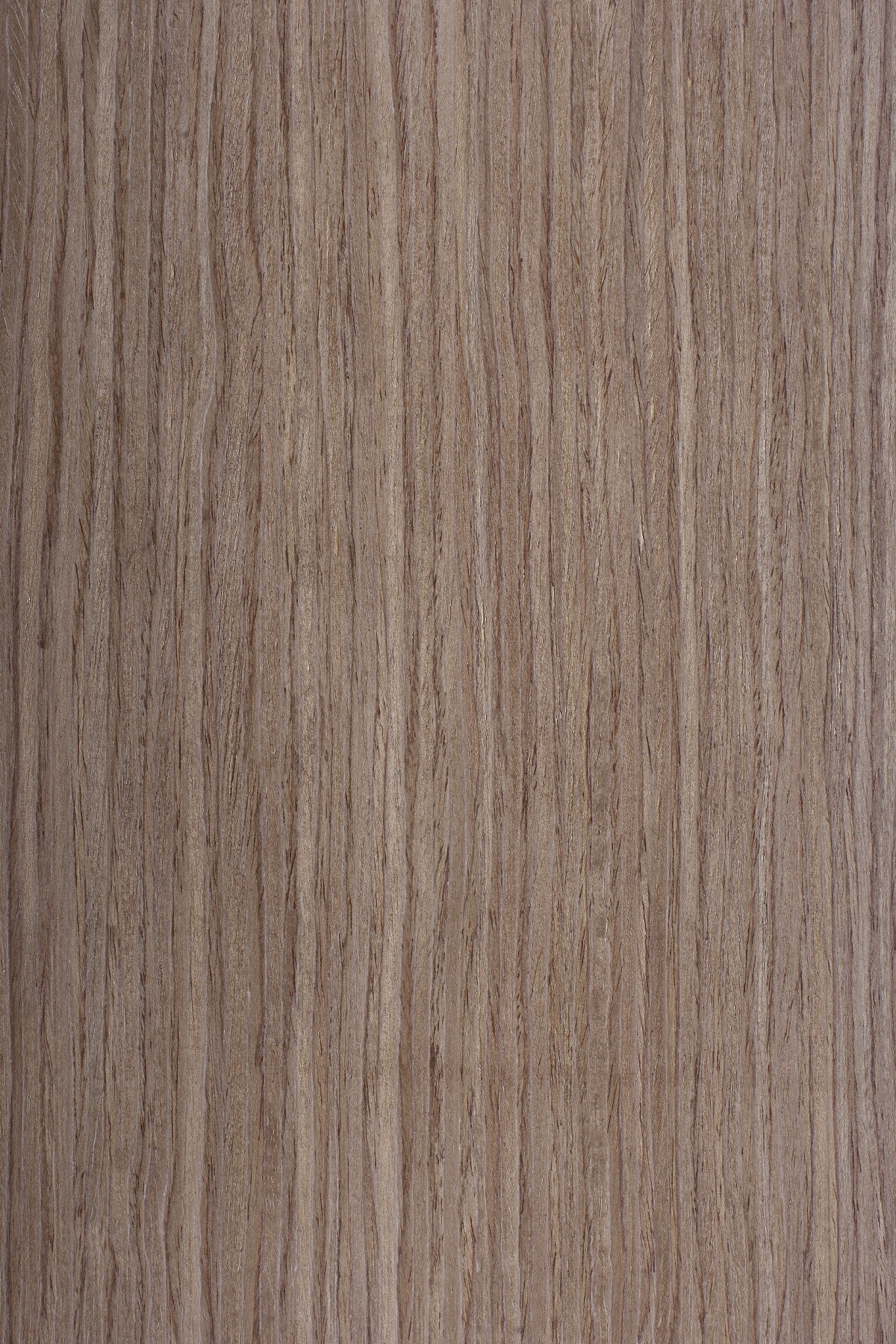 AYG5307 herringbone oak flat wood floor