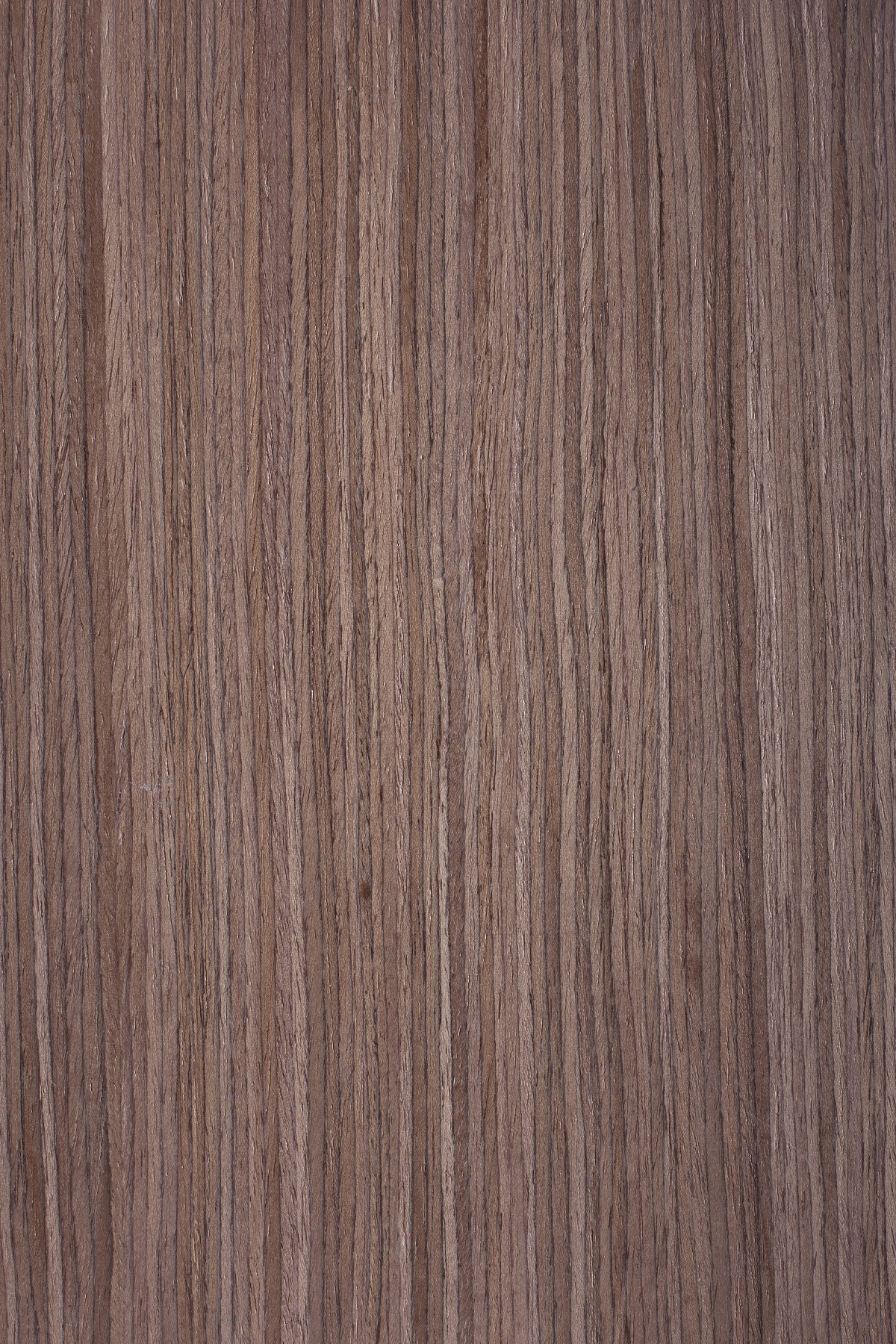 AYG5307 herringbone oak flat wood floor