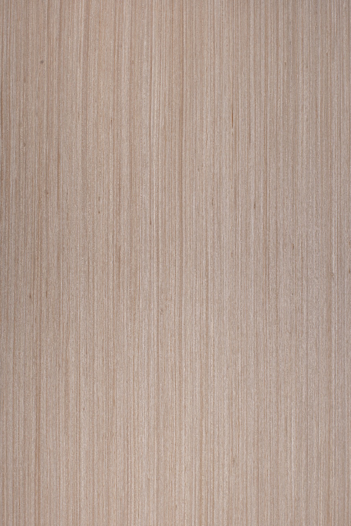 AYG5307 herringbone oak flat wood floor