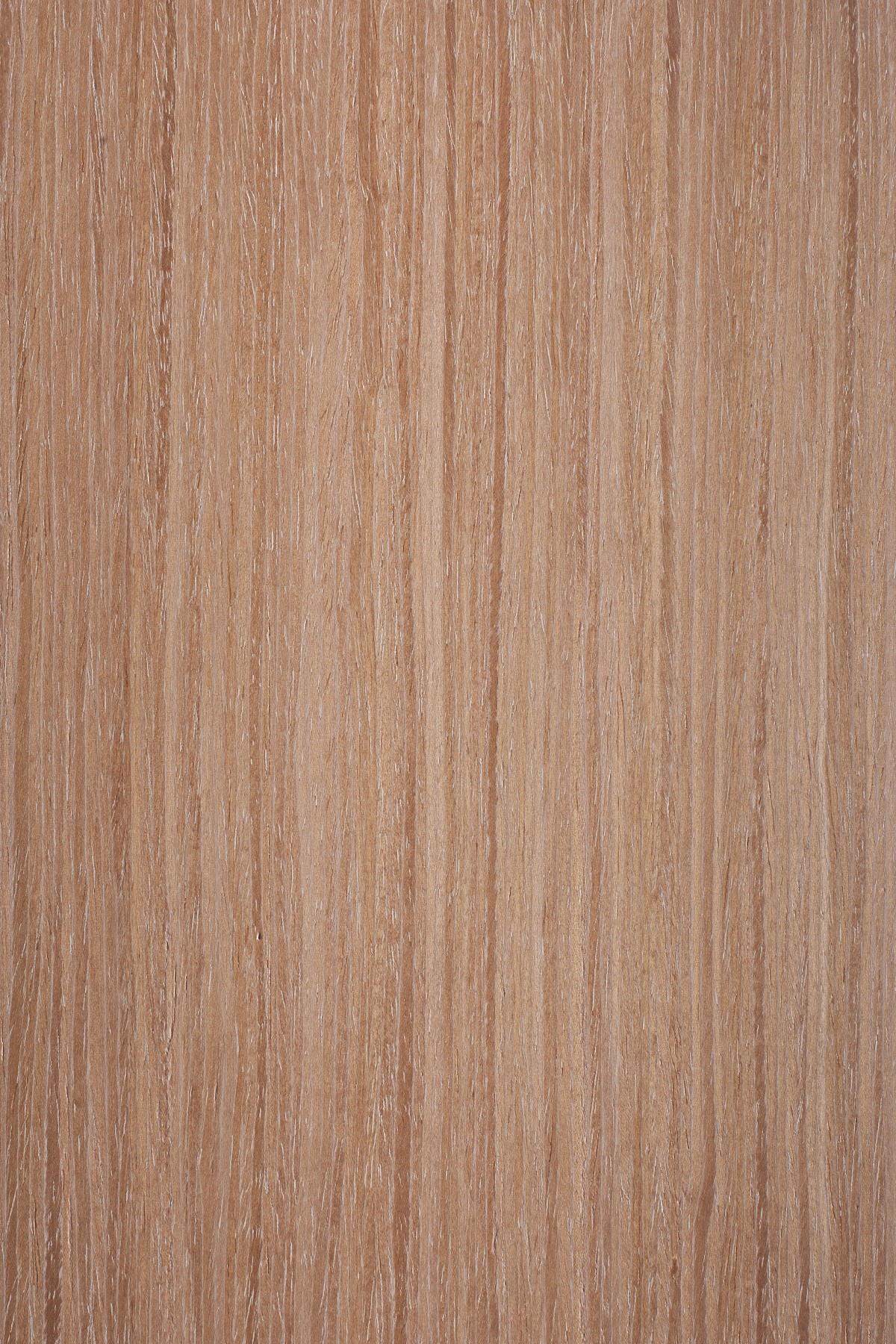 AYG5307 herringbone oak flat wood floor