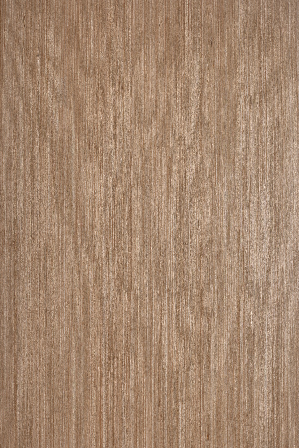 AYG5307 herringbone oak flat wood floor