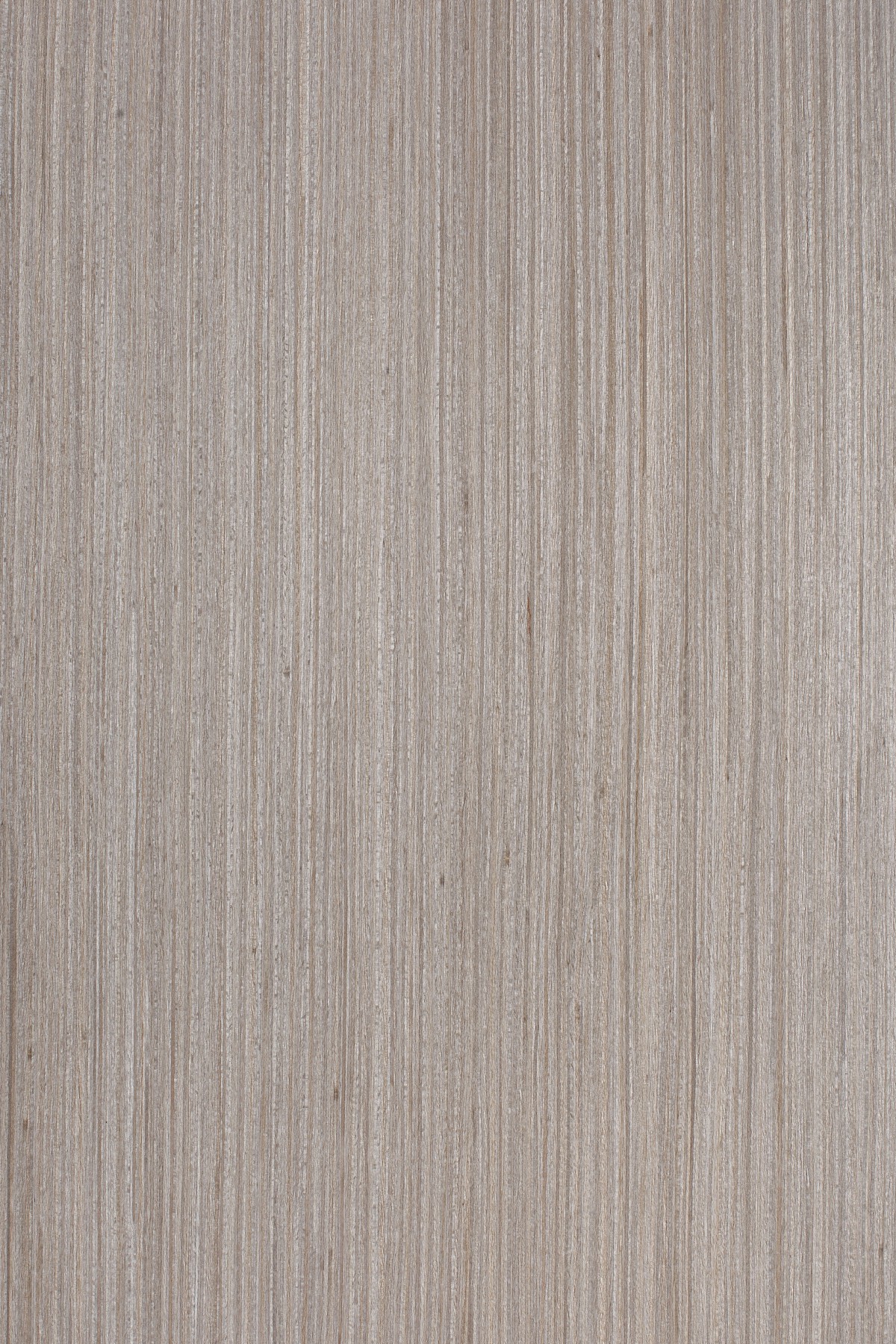 AYG5307 herringbone oak flat wood floor