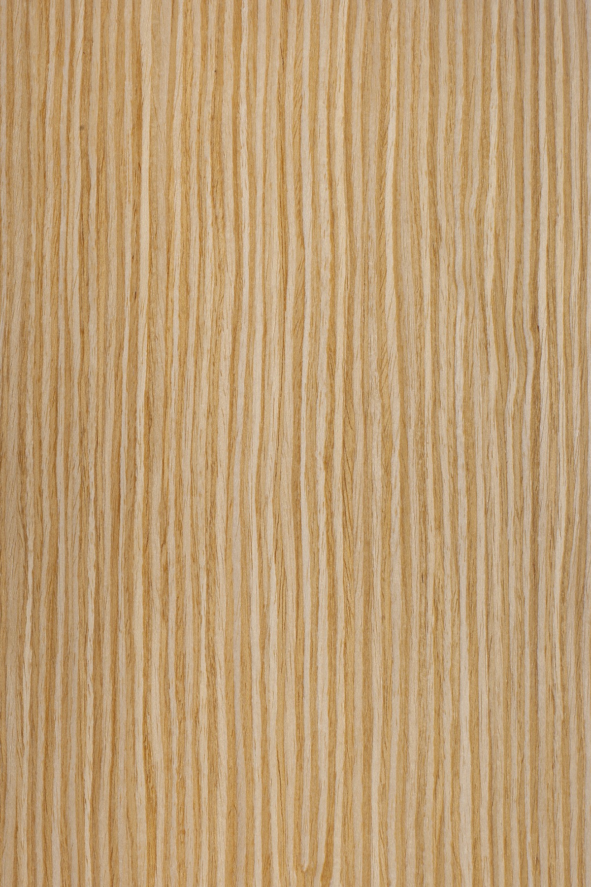AYG5307 herringbone oak flat wood floor