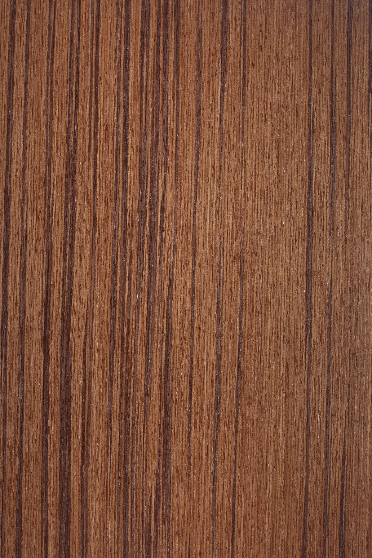 AYG5307 herringbone oak flat wood floor