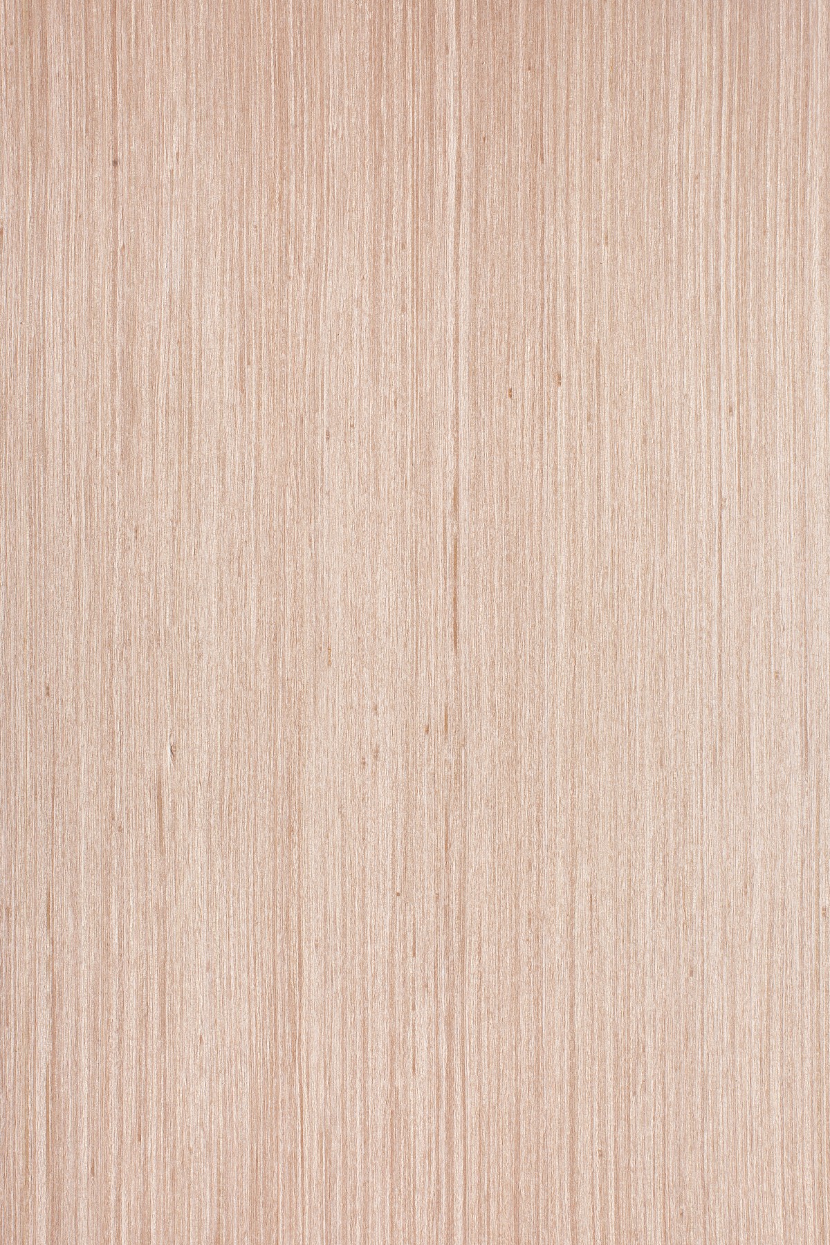 AYG5307 herringbone oak flat wood floor