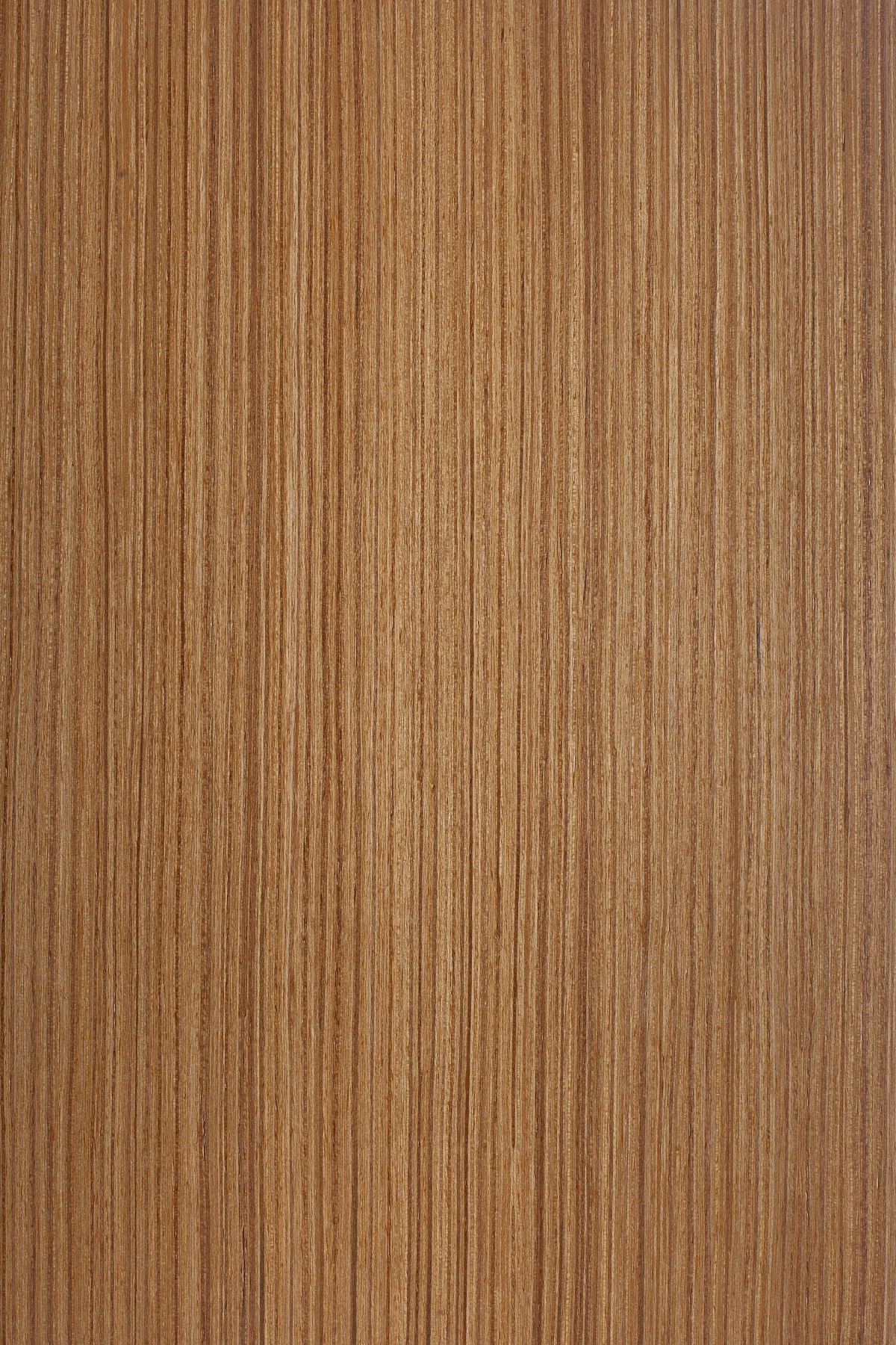 AYG5307 herringbone oak flat wood floor