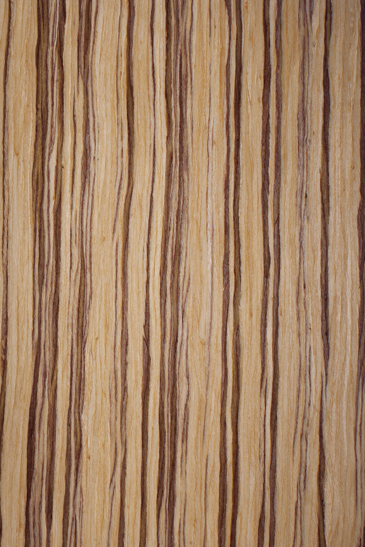 AYG5307 herringbone oak flat wood floor