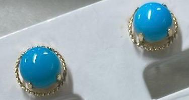 S2 Earring