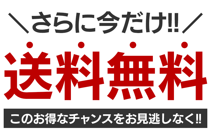 【GUCCI公式旗艦店】男女兼用 タイムセール